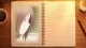 Amagami SS Plus episodio 2