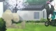 Blue Seed episodio 24