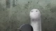Sanrio Danshi episodio 4