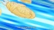 Cardcaptor Sakura: Clear Card-hen episodio 11