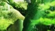 Tsukumogami Kashimasu episodio 1