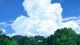 W'z episodio 12