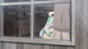 Gundam Build Divers Re:Rise episodio 11