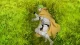 One Room Third Season episodio 12