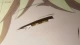 Azur Lane: Bisoku Zenshin! episodio 12