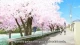 Yuusha Party wo Tsuihou sareta Beast Tamer, Saikyoushu no Nekomimi Shoujo to Deau episodio 10