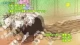 Kimi ga Aruji de Shitsuji ga Ore de episodio 4